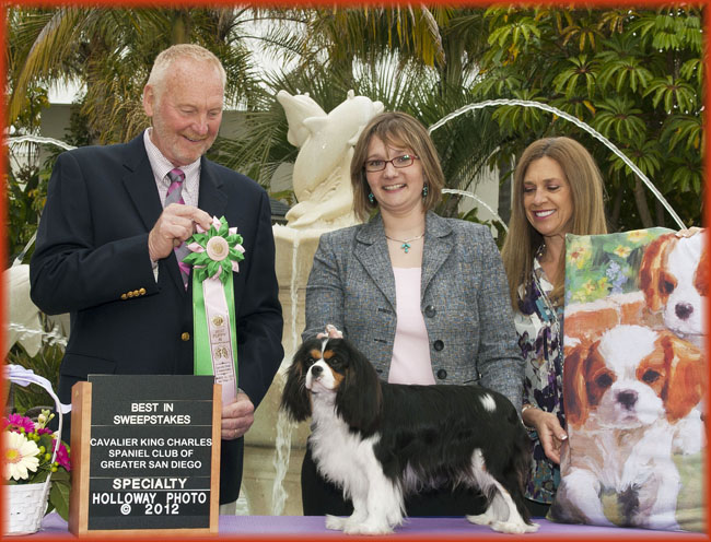 Pearl Best In Sweeps San Diego